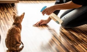 Farmodore|Pet-Proof Your Home: A Guide to Common Household Toxins for Pets