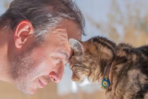 Farmodore|Nurturing Senior Cats During National Cat Health Month